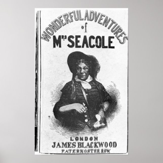 Affiche Les merveilleuses aventures de Mme Seacole (Devant)