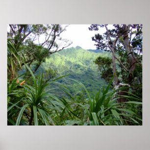 Affiche Les montagnes de Koolau au-dessus de la vallée de 