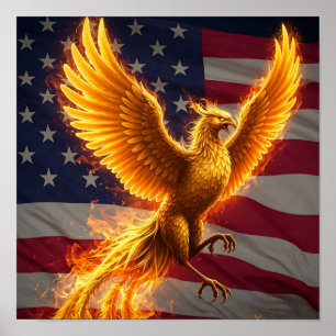 Affiche Les montées de Phoenix