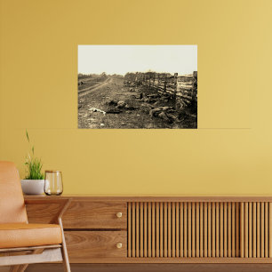 Affiche Les morts d'Antietam 1862 Guerre de Sécession Sépi