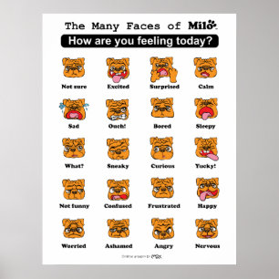 Affiche Les nombreux visages du Milo