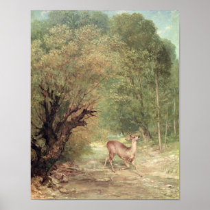 Affiche Les Oeuf de poisson-Cerfs communs chassés sur