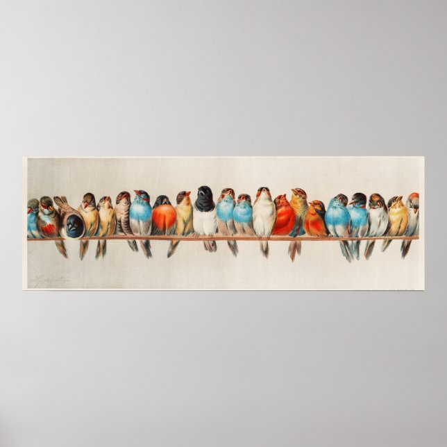 Affiche Les oiseaux mignons (Devant)