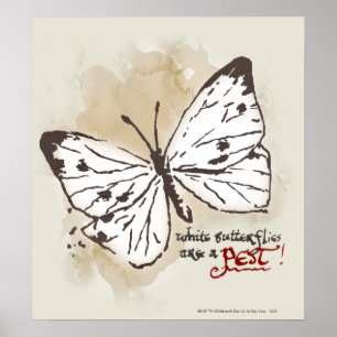 Affiche Les papillons blancs sont un parasite
