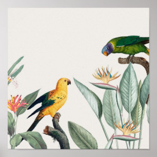 Affiche Les perroquets