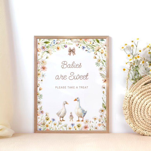 Affiche Les petits bébés d'oie sont doux Prenez un soin (Créateur téléchargé)