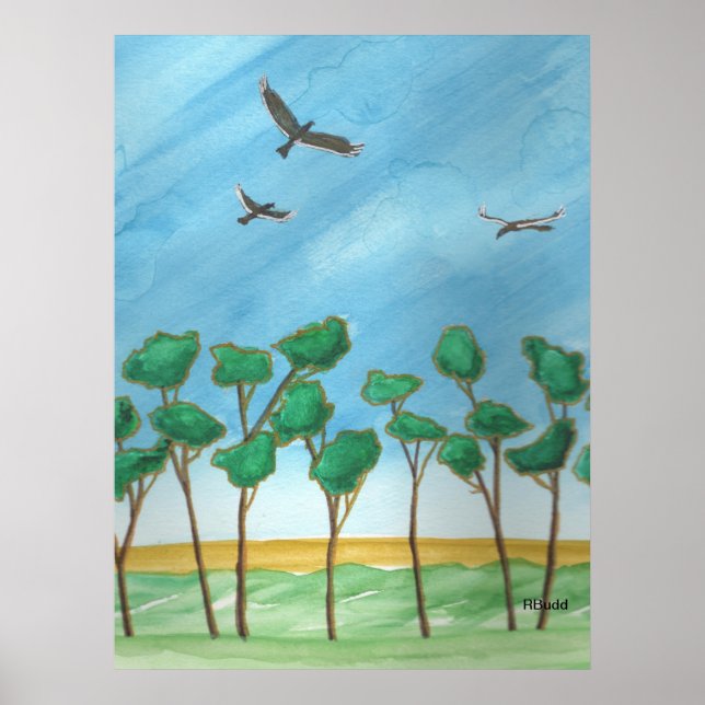 Affiche Les plaines avec des eucalyptus (Devant)