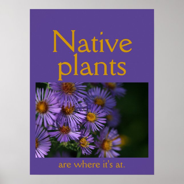 Affiche Les plantes indigènes sont où il faut être (Devant)