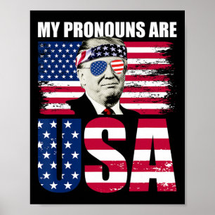 Affiche Les Pronounes Sont Les Etats-Unis Donald Trump Pat