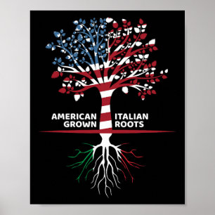 Affiche Les racines italiennes américaines 4 juillet