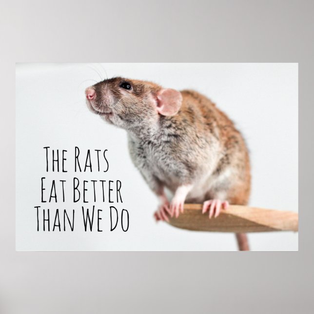 Affiche Les rats mangent mieux que nous (Devant)