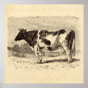 Affiche Les rétros vaches vache néerlandaise vintage à