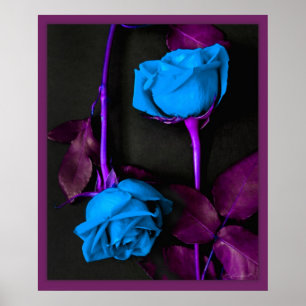 Affiche Les roses bleus impriment -20x24 - autre classe