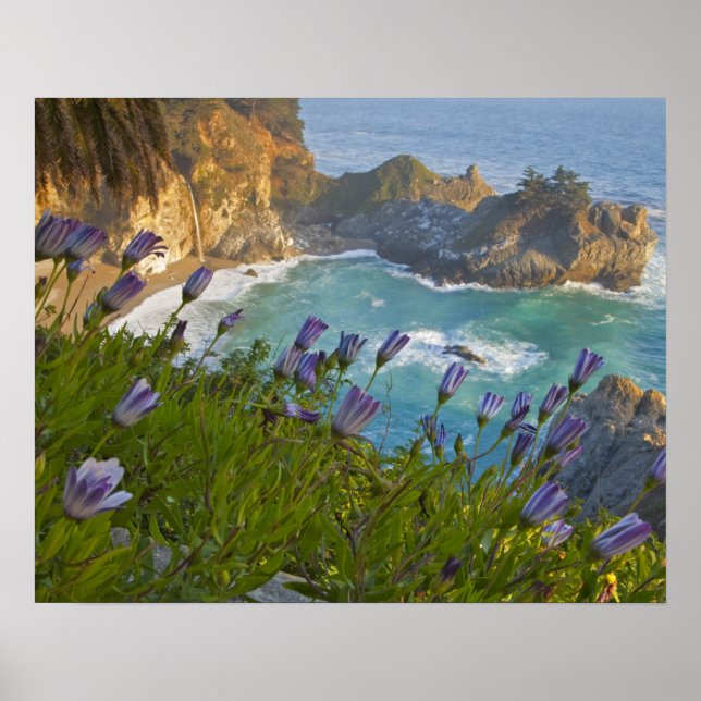 Affiche Les Scenic McWay Falls se jettent sur la plage et (Devant)