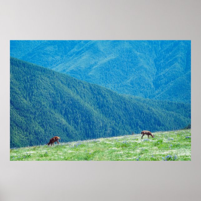 Affiche Les seaux au pied des montagnes (Devant)