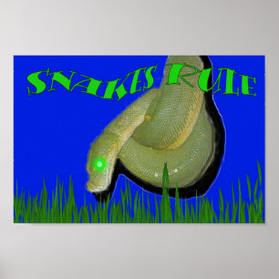 Affiche Les serpents sont au pouvoir ! ! !