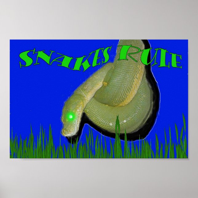 Affiche Les serpents sont au pouvoir ! ! ! (Devant)