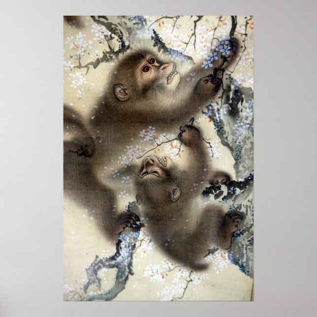 Affiche Les singes Mori Sosen dans un cerisier en fleurs (Devant)