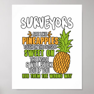 Affiche Les Surveyors Sont Comme Des Ananas.