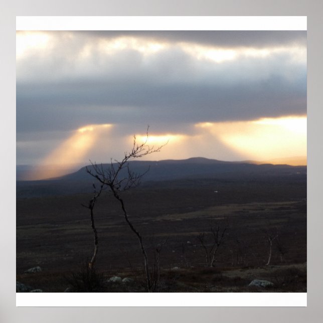 Affiche Les terres sauvages (Devant)