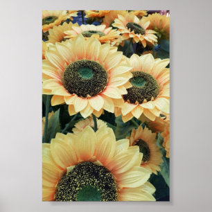 Affiche Les tournesols jaunes me rendent heureux
