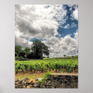 Affiche Les vignobles de St. Emillion