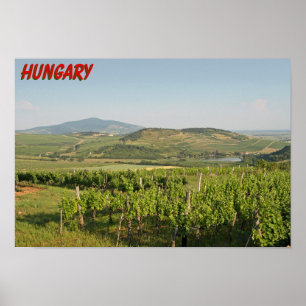 Affiche Les vignobles de Tokaj, Hongrie