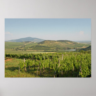 Affiche Les vignobles de Tokaj, Hongrie