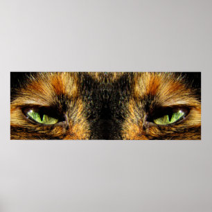 Affiche Les yeux des chats