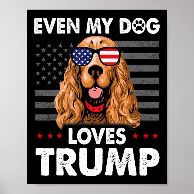 Affiche L'Espagnol même mon chien aime Trump drôle (Devant)