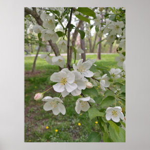 Affiche L'espoir est proche