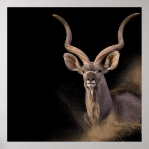 Affiche L'Esprit de Kudu