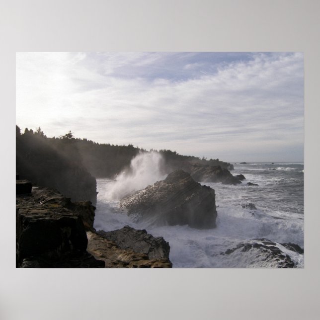 Affiche L'esprit hivernal (Devant)