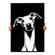 L'esthétique Pop Art du Lévrier Italien Blanc & No