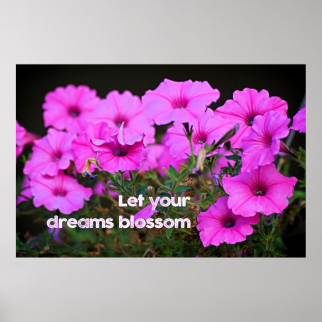 Affiche Let Your Dreams Blossom (Devant)