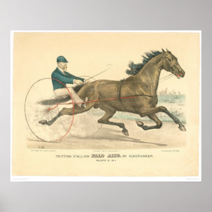 Affiche L'étalon de trot Palo Alto par Electioneer (1791A)