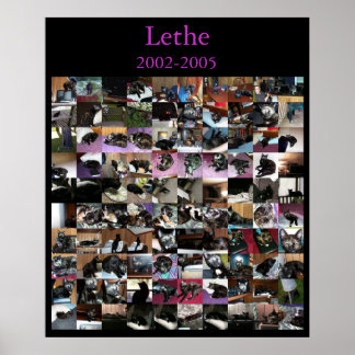 Affiche Lethe