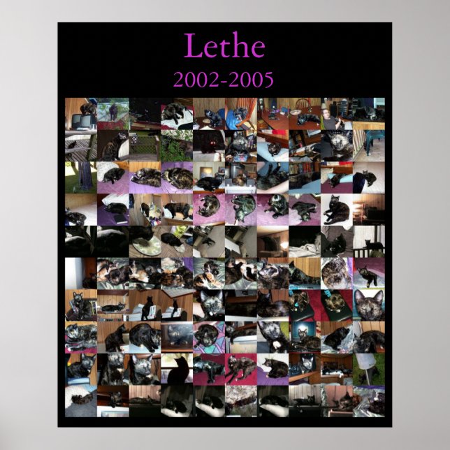 Affiche Lethe (Devant)