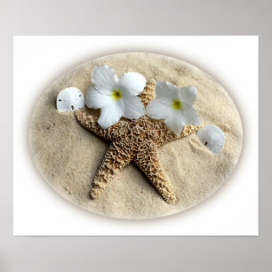 Affiche L'étoile de mer écosse le Plumeria sur le sable