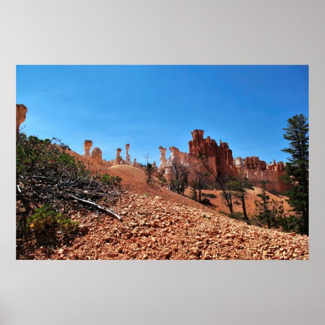 Affiche L'étrangeté du canyon de Bryce (Devant)