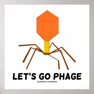 Affiche Let's Go Phage