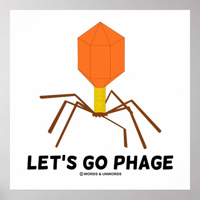 Affiche Let's Go Phage (Devant)