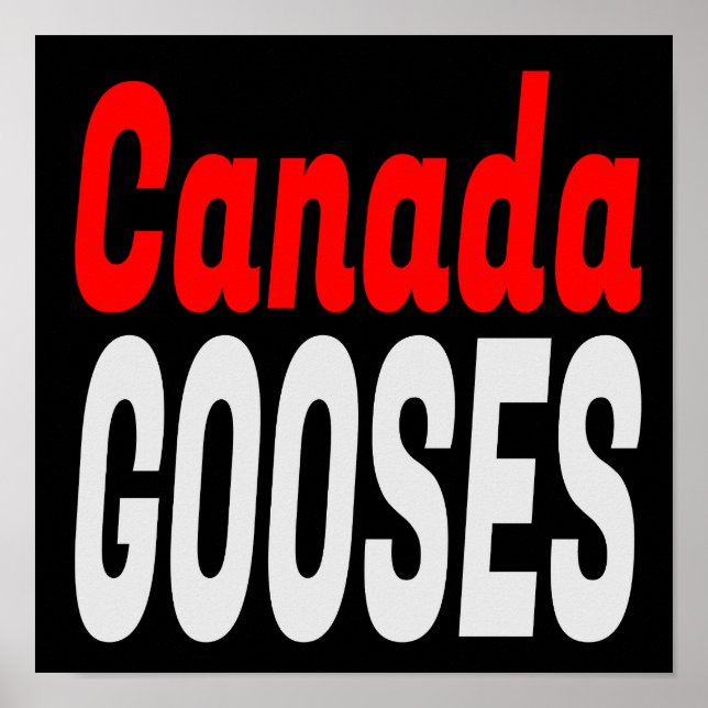 Affiche Lettre canadienne Gooses Kenny Funny Nouveauté (Devant)