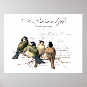 Affiche Lettre française vintage et oiseaux