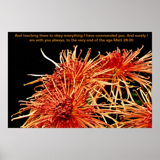 Affiche Leur apprendre à obéir à tout ce que j'ai commandé (Devant)