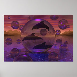 Affiche L'évasion du dauphin