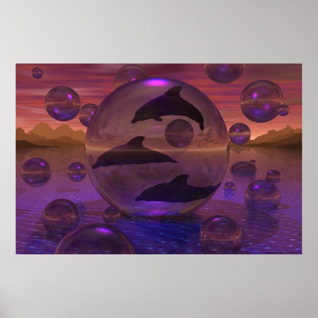 Affiche L'évasion du dauphin (Devant)