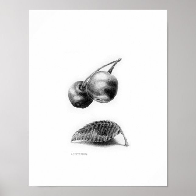 Affiche Levée (Devant)