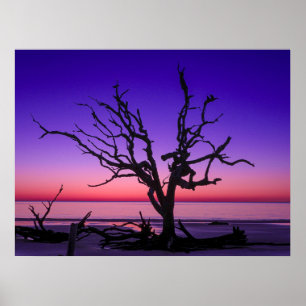 Affiche Levée de soleil violette