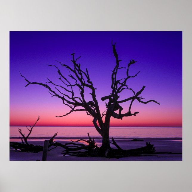 Affiche Levée de soleil violette (Devant)